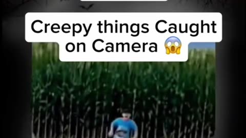 Creepy things caught on camera