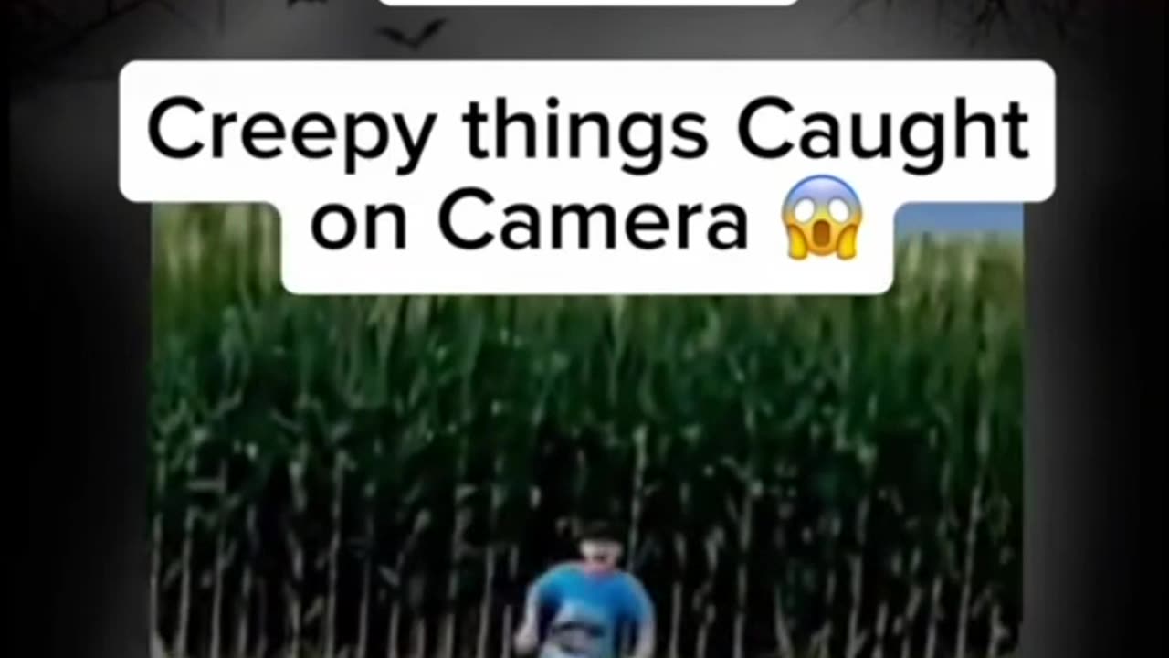 Creepy things caught on camera