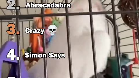 fuuny
