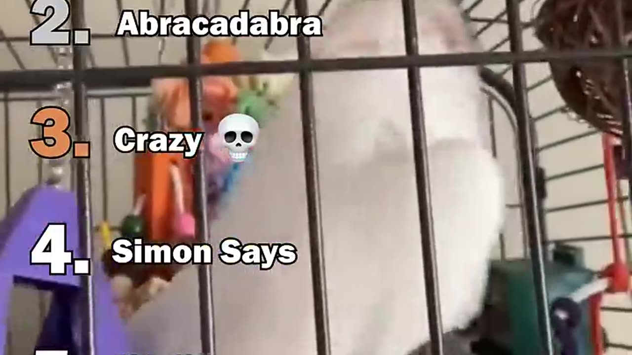 fuuny