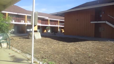 More fun at Room 401. 11/11/2025.