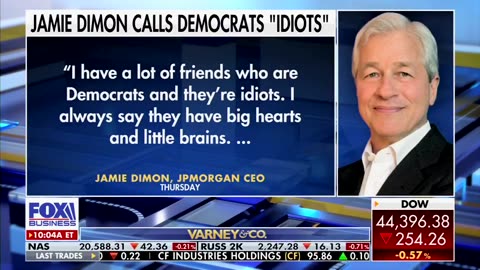 JP Morgan CEO Jamie Dimon calls Democrats "idiots"