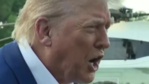 Trump “They don’t know what the fuck they’re doing”, clean sound loop