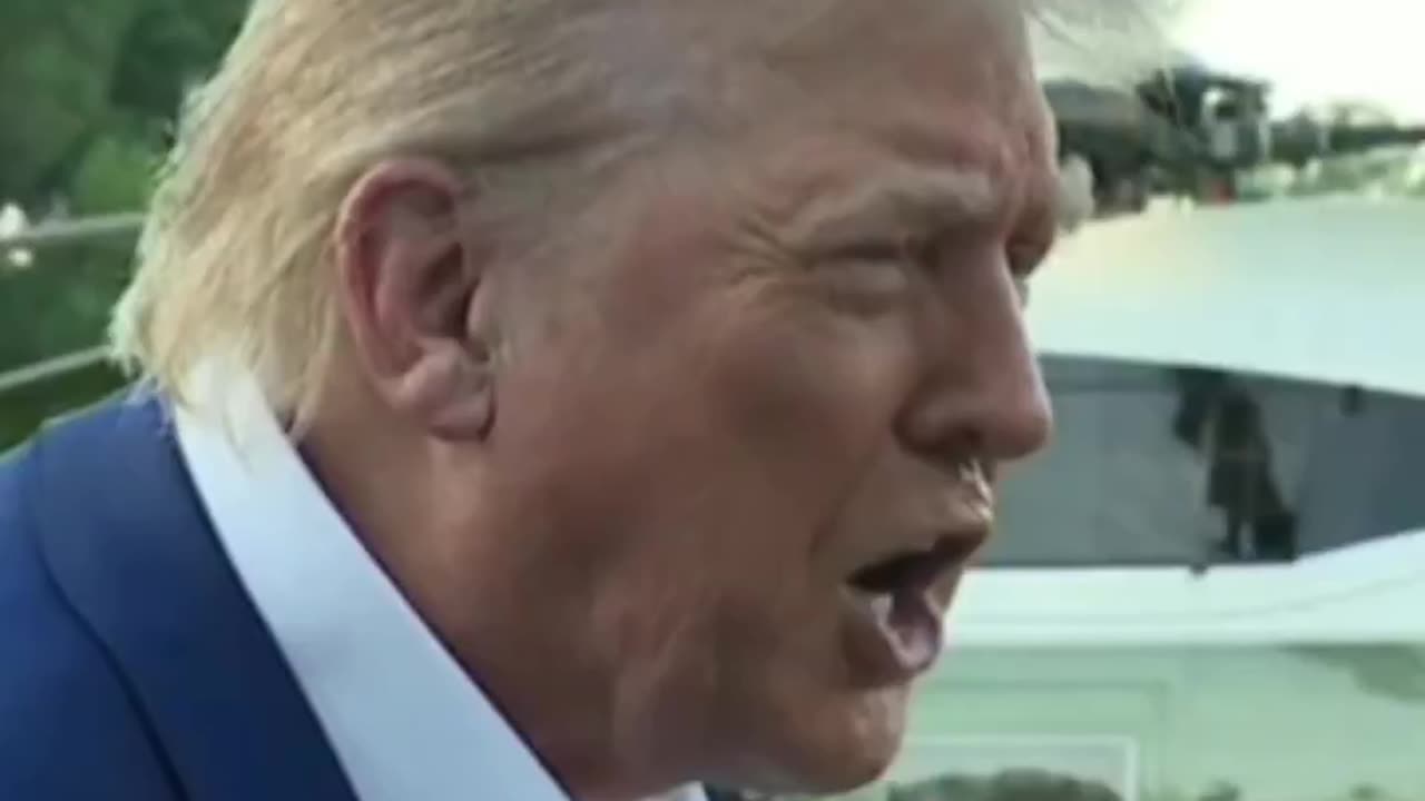 Trump “They don’t know what the fuck they’re doing”, clean sound loop