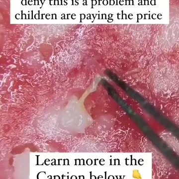 what's hiding in your lunch meat?