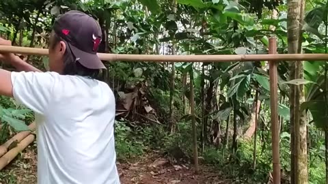 Solo camping HAevy Rain building simple cabin from bamboo tree middle fores