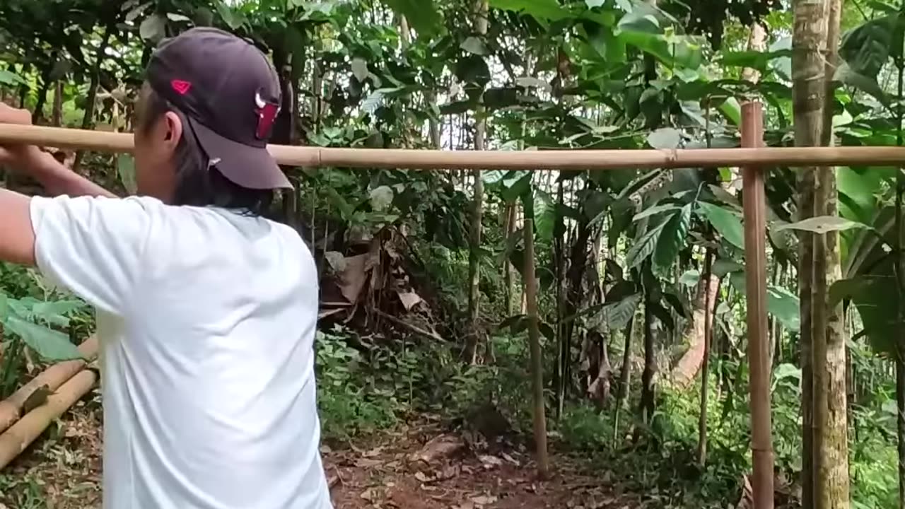 Solo camping HAevy Rain building simple cabin from bamboo tree middle fores
