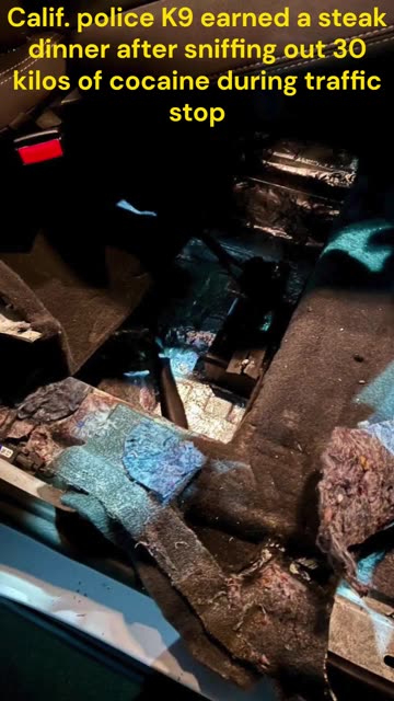 Calif. police K9 earned a steak dinner after sniffing out 30 kilos of cocaine during traffic stop