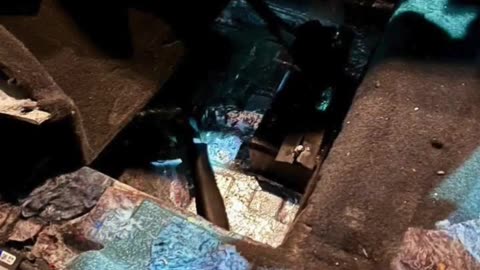 Calif. police K9 earned a steak dinner after sniffing out 30 kilos of cocaine during traffic stop