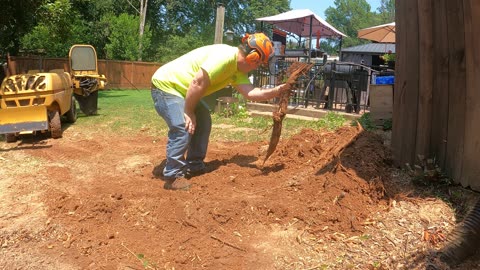 You Won’t Believe What Happened at BOTH Stump Grinding Jobs!