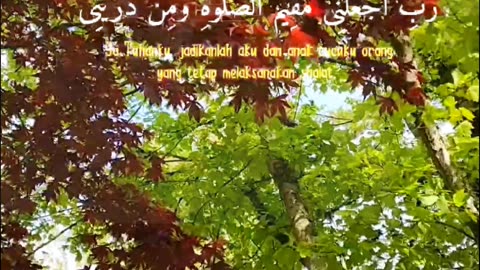 🔥Surah Ibrahim 14:40-41🛐❤️👨‍👩‍👧‍👦 #quran #viral #shorts #prayer #love