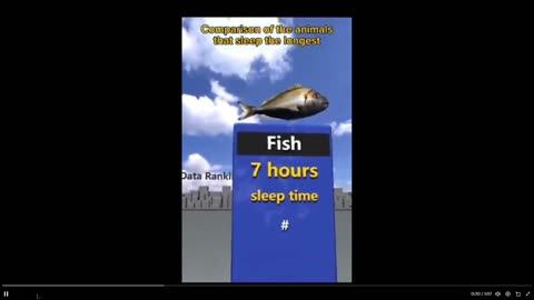 Compare sleep for different species... humans too... sharks, I learned something