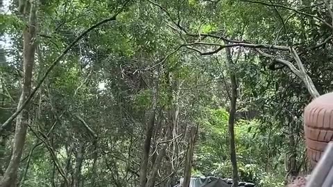 🔥⚔️ Other Conflicts | Thai Soldiers Clash with Cambodian Forces at Border | RCF