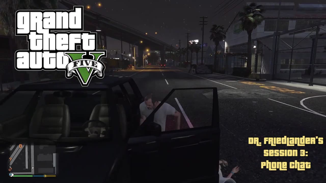 Dr. Friedlander Therapy Session 3