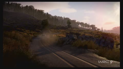 WRC9 (Ps5) Race23