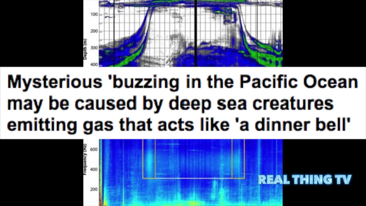 Mysterious 'buzzing in the Pacific Ocean