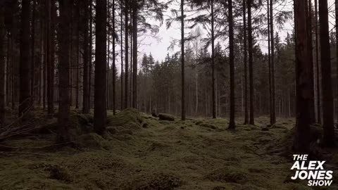 The Minds Behind “Human Safaris” Run The World – Exclusive Report