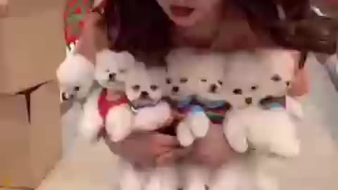 teacup dog breeds / teacup puppies 🐕 mini wood toy art / hand craft #shorts #dog #toys #cute #puppy