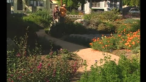 Marion Shows Off Beautiful Garden Landscapes