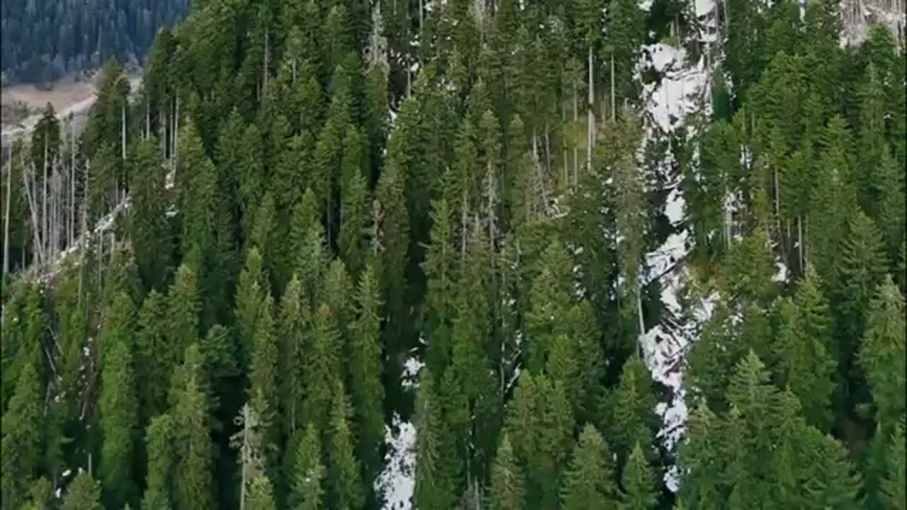 Nature View Video Rain, Waterfall, Mountain, Forest Video Of Forest Stock Footage Free HD Video
