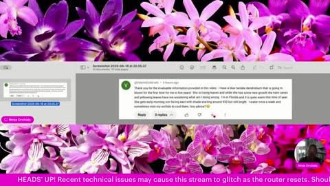 Monthly Q&A FAQ May 2025 Comments Review Orchid Related or Not Diverse Topics #ninjaorchids