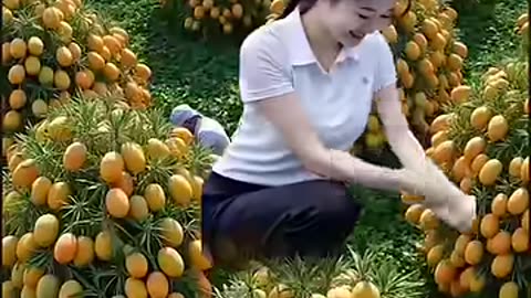 Viral and popular taste fruits🥭🍓🍉🍒🍇🍎 #fruit #nature #garden #gardening #vegetables