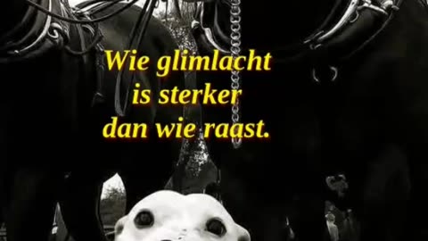 Wie glimlacht