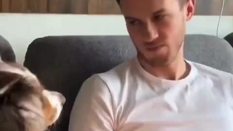 Om du tror din hund är lat... Du skulle kanske lämna soffan själv? 😆