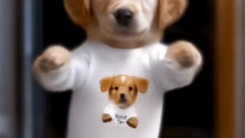 Dog Dance Motorcycle