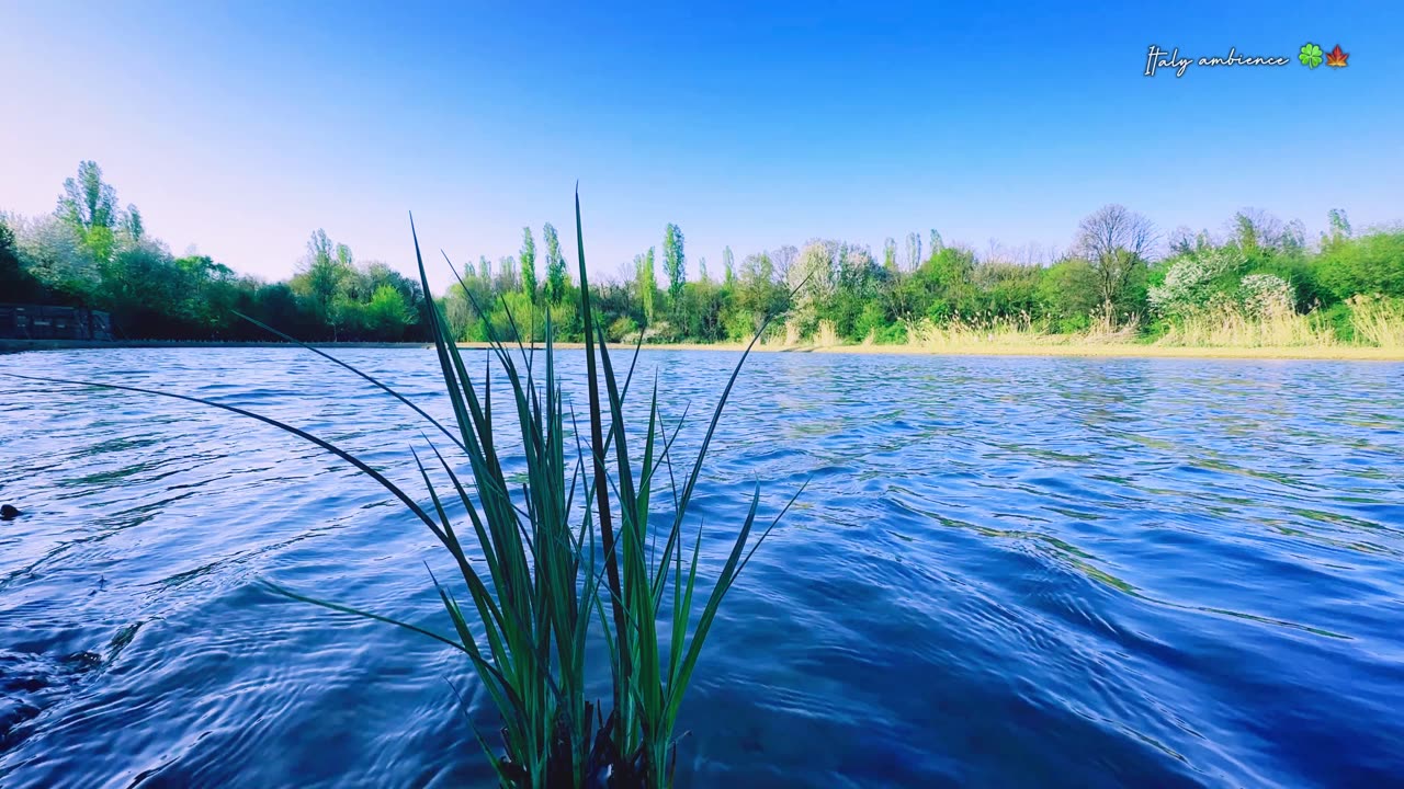 The beauty of a calm lake and the sounds of nature for Relaxation and Stress Reduction.