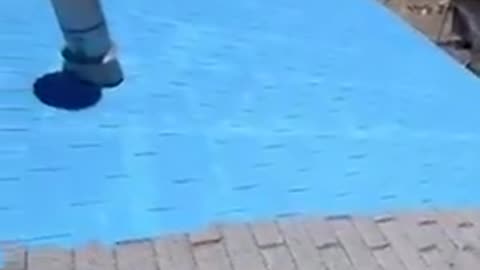 Woman in the U.S. is going viral after recording herself painting her property BLUE.