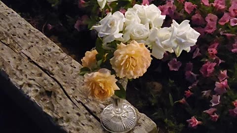 30 Minutes of Roses in the wastelands of Michigan.