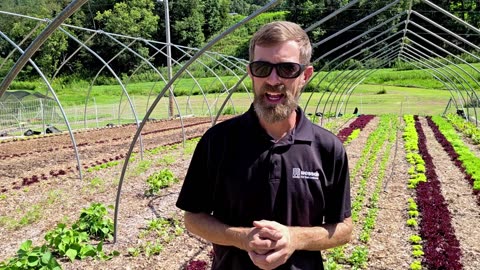 Farmers' Market Update & What's Growing (Garden Tour) ! 8-28-25