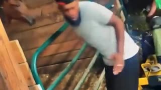 😂🤣 Damm Horse Kno Better He Like Shiddd | FunFM