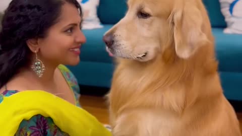 Cute dog smile 😊 🐶🐶