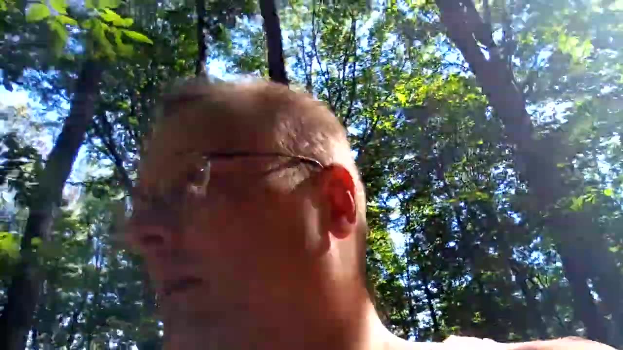 Todd Thundercock: Forest Rant For 30 Minutes