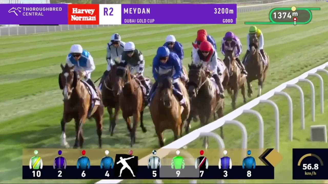 2025 Dubai Gold Cup | Continuous, Epic Poet, Dubai Future