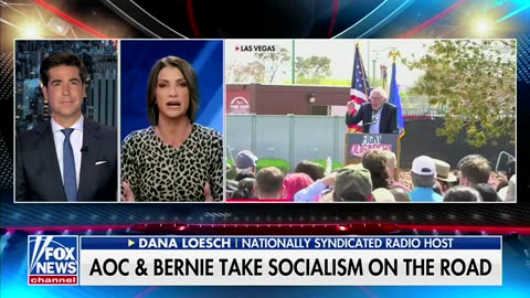 Dana Loesch Warns Dems' Town Halls Could Fracture Democratic Base