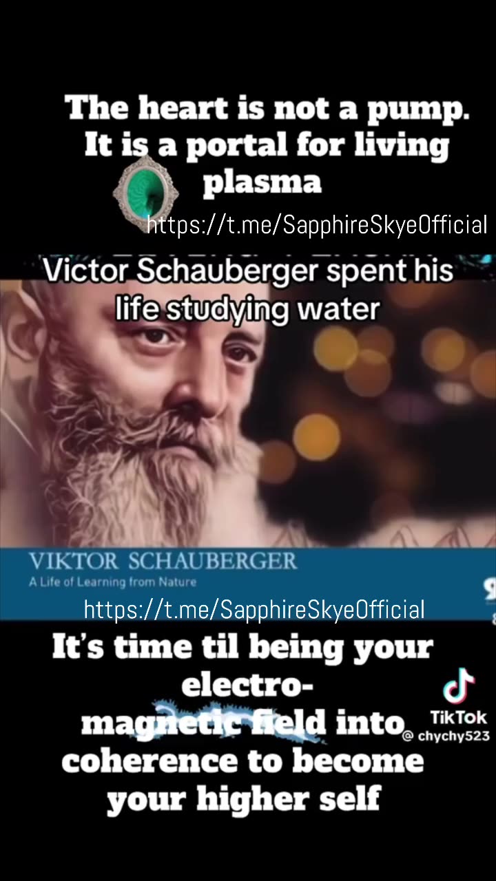 返,NTHROPOSOPHICAL MEDICINE返﹗he Heart Is A Portal返