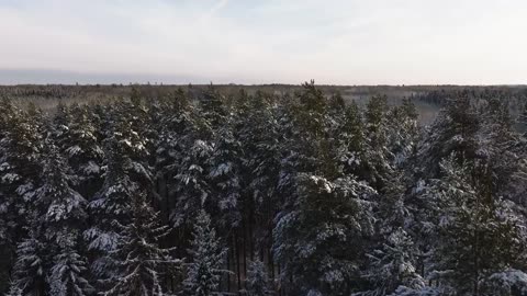 Night Lights – Cozy Chillhop Mix