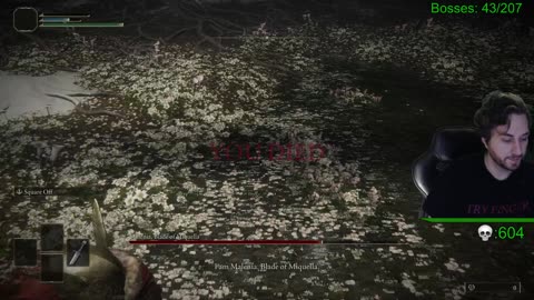 Level 1 Character, BROADSWORD ONLY (Elden Ring)