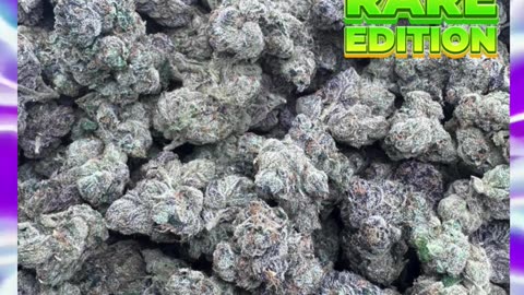 Super Sauce THCa Flower | 30%+ Living Soil Hybrid | Sweet Candy Gas, Euphoric, Uplifting, Bulk #thca