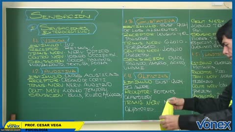 VONEX SEMIANUAL 2025 | Semana 11 | Psicología