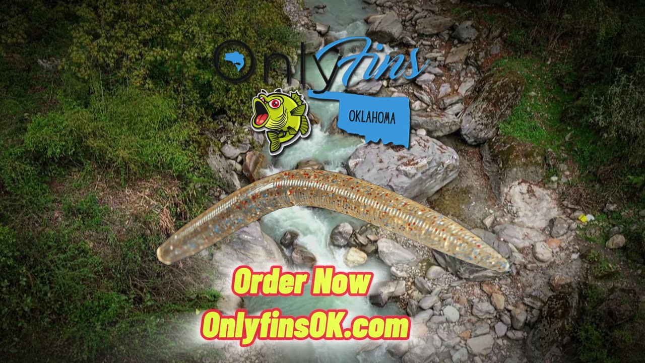 5" Glass Shad Color Stick Worms