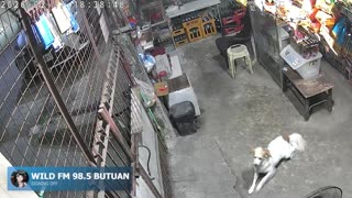 Lalaban Na Tayo mga Kababayan Lalaban Na Tayo