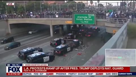 Anti-ICE Protestor Throw Rocks at LAPD Hiding Under Bridge