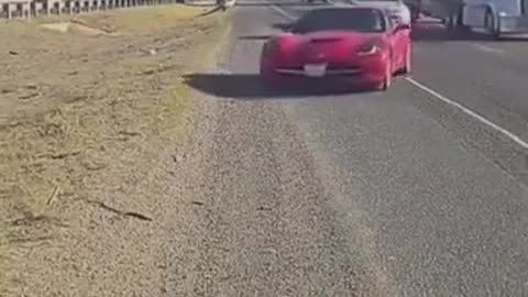 😂💡 Safety Vest Saved the Day! | FunFM