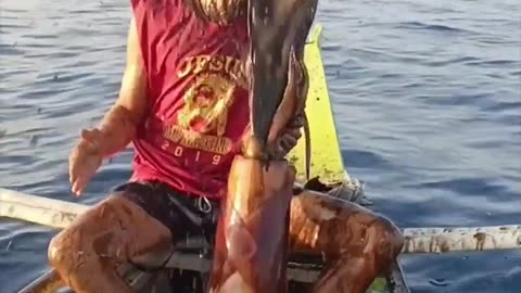 😂🐙 You Won't Believe This Squid's Reaction! | FunFM