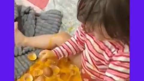 Viral Funny Moments Caught on The Camera