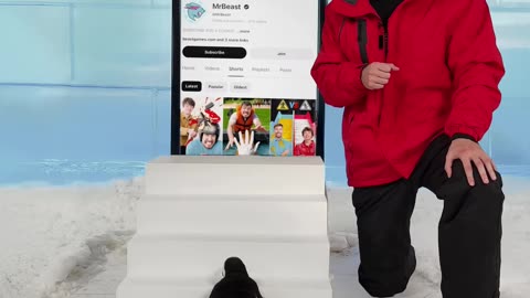 Can I Teach a Penguin To Subscribe